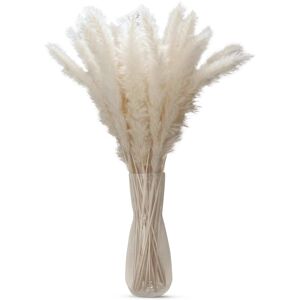 Intirilife Pampas Grass White - Dried Flower Decoration Plant - 30 Pieces Intirilife Pampas Grass White - Dried Flower Decoration Plant - 30 Pieces