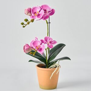 Artificial Real Touch Orchid Plant – 15" Faux Phalaenopsis In Pot – Highly Reali Artificial Real Touch Orchid Plant – 15" Faux Phalaenopsis In Pot – Highly Reali