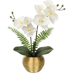 Briful Artificial Orchid Plants White Orchid Real Touch Flowers Artificial Phal Briful Artificial Orchid Plants White Orchid Real Touch Flowers Artificial Phal