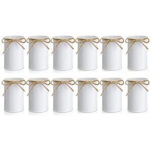 Sodial 12pcs Farmhouse Vase Decor Vintage Flower Vase With Twine Bow Metal Vases9026 Sodial 12pcs Farmhouse Vase Decor Vintage Flower Vase With Twine Bow Metal Vases9026