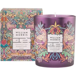 William Morris At Home Bird And Yare, Clementine And Clove Christmas Scented Can William Morris At Home Bird And Yare, Clementine And Clove Christmas Scented Can