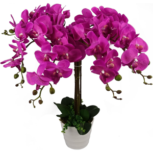 Does Not Apply Design Uk Realistic Artificial Orchid Flower Display In Pot,Dark Pink,85cm Does Not Apply Design Uk Realistic Artificial Orchid Flower Display In Pot,Dark Pink,85cm