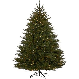 Werchristmas Pre-Lit Christmas Tree Foxtail Pine, 6 Ft, Christmas Decoration Werchristmas Pre-Lit Christmas Tree Foxtail Pine, 6 Ft, Christmas Decoration