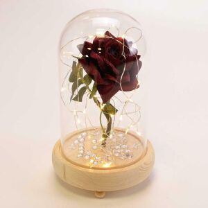 Angraves Fairy Tale Red Handmade Enchanted Rose In Glass Dome Bell Jar & Pretty Led Light Angraves Fairy Tale Red Handmade Enchanted Rose In Glass Dome Bell Jar & Pretty Led Light
