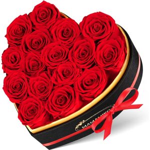Mamamiko 16 Forever Real Rose Heart Box,Eternal Preserved Red Roses Flowers,Rose Gifts F Mamamiko 16 Forever Real Rose Heart Box,Eternal Preserved Red Roses Flowers,Rose Gifts F