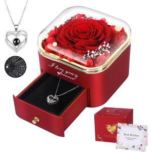 Firestyle Preserved Red Real Rose With I Love You Necklace In 100 Languages,Eternal Flowe Firestyle Preserved Red Real Rose With I Love You Necklace In 100 Languages,Eternal Flowe