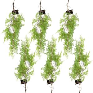 Leaf Artificial Hanging Fern Plant 100cm Maidenhair Light Green - Pack Of 6 Leaf Artificial Hanging Fern Plant 100cm Maidenhair Light Green - Pack Of 6