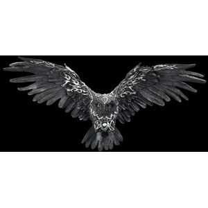 Figuren Shop Gmbh Wall Relief - Black Celtic Owl - Fantasy Animal Decoration Figure 26.5cm Figuren Shop Gmbh Wall Relief - Black Celtic Owl - Fantasy Animal Decoration Figure 26.5cm