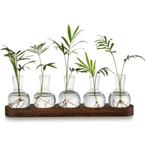 Sodial 2x(Plant Terrarium Propagation Station, Glass Planter Bulb Vase With Wooden1310 Sodial 2x(Plant Terrarium Propagation Station, Glass Planter Bulb Vase With Wooden1310