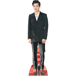 Star Cutouts Harry Styles ‘red Carpet’ (English Singer) Lifesize + Mini Cardboard Cutout Star Cutouts Harry Styles ‘red Carpet’ (English Singer) Lifesize + Mini Cardboard Cutout