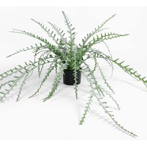 Blooming Artificial - Faux Fishbone Cactus 105cm - Fake Indoor Green House Plant Blooming Artificial - Faux Fishbone Cactus 105cm - Fake Indoor Green House Plant