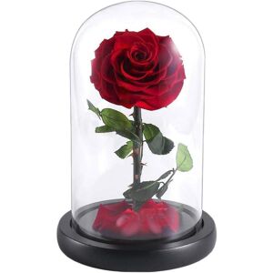 Yeplins Beauty And The Beast Rose Kit, Forever Rose In The Glass,Romantic Birth Yeplins Beauty And The Beast Rose Kit, Forever Rose In The Glass,Romantic Birth