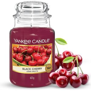 Yankee Candle Scented Candle Black Cherry Large Jar Long Burning Candles: U Yankee Candle Scented Candle Black Cherry Large Jar Long Burning Candles: U
