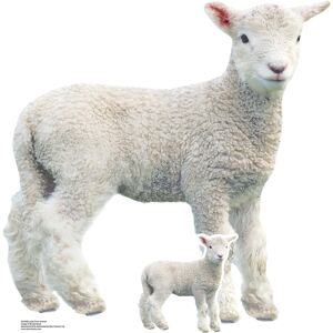 Lamb Farmyard Animal Lifesize Cardboard Cutout With Free Mini Standee - Easter Lamb Farmyard Animal Lifesize Cardboard Cutout With Free Mini Standee - Easter