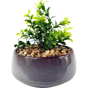 Leaf Ceramic Blue Dish Planter Office Desk Plant, Artificial Crassula, 16cm Leaf Ceramic Blue Dish Planter Office Desk Plant, Artificial Crassula, 16cm