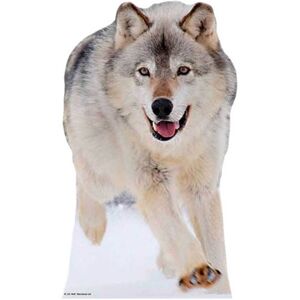 Star Cutouts Wolf Lifesize Cardboard Cutout - 90cm Star Cutouts Wolf Lifesize Cardboard Cutout - 90cm