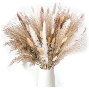 Sodial 5x(85pcspampas Grass Decorative Vase Home Arrangements, Dried Natural2511 Sodial 5x(85pcspampas Grass Decorative Vase Home Arrangements, Dried Natural2511