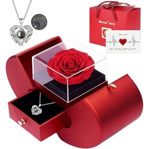 Firestyle Preserved Real Rose Gifts For Women,Mum,Wife,Eternal Flowers Rose With I Love Y Firestyle Preserved Real Rose Gifts For Women,Mum,Wife,Eternal Flowers Rose With I Love Y