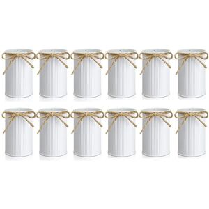 Sodial 2x(12pcs Farmhouse Vase Decor Vintage Flower Vase With Twine Bow Metal8996 Sodial 2x(12pcs Farmhouse Vase Decor Vintage Flower Vase With Twine Bow Metal8996