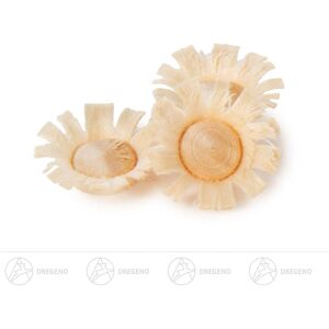 Großhandel Dregeno Flower Nr.4a 20 Piece B = X Depth Ca 2 Cmx2 Cm New Ore Mountains Accessory Child Großhandel Dregeno Flower Nr.4a 20 Piece B = X Depth Ca 2 Cmx2 Cm New Ore Mountains Accessory Child