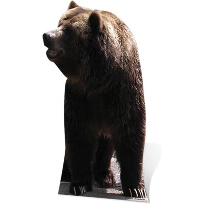 Iconicgreats Grizzly Bear Lifesize Cardboard Cutout - 165cm Tall Iconicgreats Grizzly Bear Lifesize Cardboard Cutout - 165cm Tall