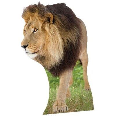 Iconicgreats Lion Lifesize Cardboard Cutout - Party Decor Iconicgreats Lion Lifesize Cardboard Cutout - Party Decor