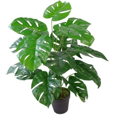 Leaf Design UK - Monstera 60cm Twist Stem Leaf Design UK - Monstera 60cm Twist Stem