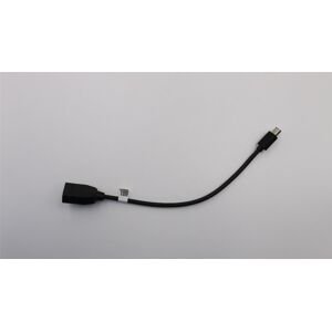 Lenovo Thinkstation P340 Tiny Mini DisplayPort Cable - DisplayPort Cable Lenovo Thinkstation P340 Tiny Mini DisplayPort Cable - DisplayPort Cable