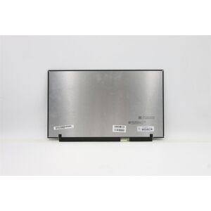 Lenovo Thinkpad P15s Gen 2 Lcd Screen Display Panel 5m11c43971 Lenovo Thinkpad P15s Gen 2 Lcd Screen Display Panel 5m11c43971