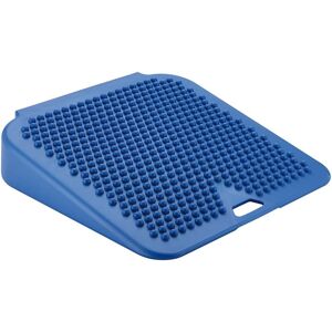 Gymnic Nrs Healthcare Movinsit Cushion - 360 X 360 Mm/14 X 14 Inch Gymnic Nrs Healthcare Movinsit Cushion - 360 X 360 Mm/14 X 14 Inch