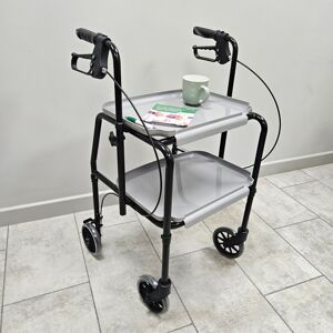 Elitecare Indoor Walking Aid Mobility Trolley Rollator Frame Brakes And Trays Home Helper Elitecare Indoor Walking Aid Mobility Trolley Rollator Frame Brakes And Trays Home Helper
