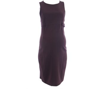 Olian Maternity Women'S Princess Panel Sleeveless Sheath Dress Nwt Olian Maternity Women'S Princess Panel Sleeveless Sheath Dress Nwt