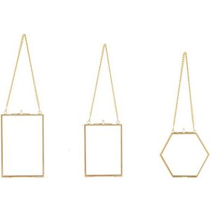 Sodial 3x(3 Packs Pressed Flowers Glass Frames- Golden Hanging Glass Picture5348 Sodial 3x(3 Packs Pressed Flowers Glass Frames- Golden Hanging Glass Picture5348