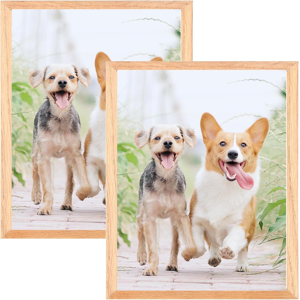 Does Not Apply A3 Oak Wood Photo Frame,2 Pack-29.7x42cm Picture Plexi-Glass,Certificate Frame F Does Not Apply A3 Oak Wood Photo Frame,2 Pack-29.7x42cm Picture Plexi-Glass,Certificate Frame F