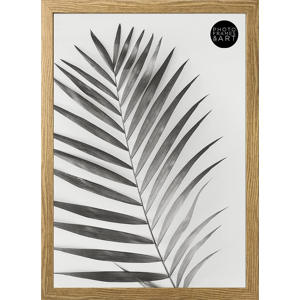 Does Not Apply Real Glass Oxford Picture Frame For A3 - Thin Premium Poster Picture Frame For A Does Not Apply Real Glass Oxford Picture Frame For A3 - Thin Premium Poster Picture Frame For A