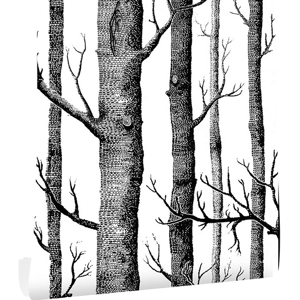 Does Not Apply Self Adhesive Wallpaper Birch Tree Wallpaper Peel And Stick Grey Wallpaper Black Does Not Apply Self Adhesive Wallpaper Birch Tree Wallpaper Peel And Stick Grey Wallpaper Black
