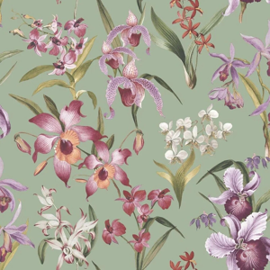 Does Not Apply Floral Orchid Wallpaper - Purple Pink Green Exotic Tropical Leaves - Stylish, Wa Does Not Apply Floral Orchid Wallpaper - Purple Pink Green Exotic Tropical Leaves - Stylish, Wa
