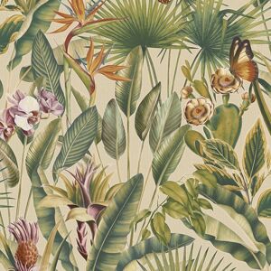 Rasch Vasari Zanzibar Cream Wallpaper 400020 - Tropical Jungle Butterfly Rasch Vasari Zanzibar Cream Wallpaper 400020 - Tropical Jungle Butterfly