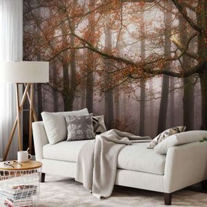 Genius Brown Trees Wallpaper Bedroom Thick Photo Wall Mural Foggy Day Forest 384x260cm Genius Brown Trees Wallpaper Bedroom Thick Photo Wall Mural Foggy Day Forest 384x260cm