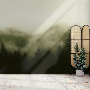 Superfresco Easy Misty Landscape Green Print To Order Fixed Size Mural Superfresco Easy Misty Landscape Green Print To Order Fixed Size Mural