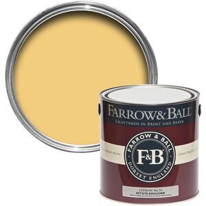 Farrow & Ball Estate Emulsion Matt Wall & Ceiling Paint Citron No.74 2.5l Farrow & Ball Estate Emulsion Matt Wall & Ceiling Paint Citron No.74 2.5l
