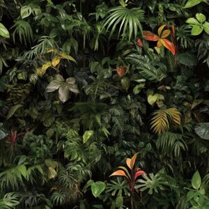 Rewallpaper 44.5cm×7m Dark Green Jungle Wallpaper Sticky Back Plastic Patterne Rewallpaper 44.5cm×7m Dark Green Jungle Wallpaper Sticky Back Plastic Patterne