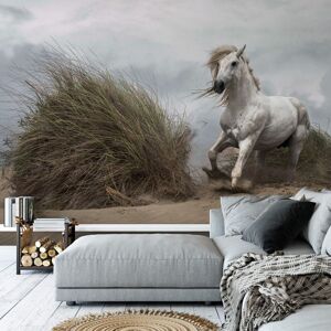 Genius White Wild Horse Wall Mural - Wall Mural Genius White Wild Horse Wall Mural - Wall Mural