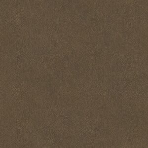 Ta25026 - Shades Of Colour Leather Plain Cognac Galerie Wallpaper Ta25026 - Shades Of Colour Leather Plain Cognac Galerie Wallpaper