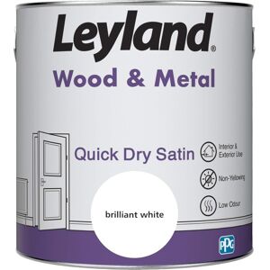 Leyland 423431 Wood & Metal Quick Dry 2.5 Ml (Pack Of 1), Brilliant White Leyland 423431 Wood & Metal Quick Dry 2.5 Ml (Pack Of 1), Brilliant White