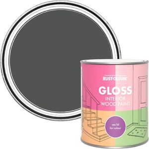 Rust-Oleum Grey Interior Wood Paint In Gloss Finish - Graphite 750ml Rust-Oleum Grey Interior Wood Paint In Gloss Finish - Graphite 750ml