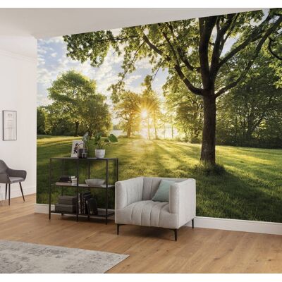 Komar Sunny Day Decor Wallpaper Green Nature Countryside 368x254cm With Adhesive Komar Sunny Day Decor Wallpaper Green Nature Countryside 368x254cm With Adhesive
