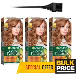 Garnier Color Naturals 7.34 Natural Copper Hair Color Salon Quality Bulk 3-Pack Garnier Color Naturals 7.34 Natural Copper Hair Color Salon Quality Bulk 3-Pack