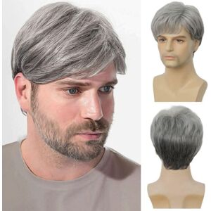 Siudus Mens Grey Short Wig Natural Looking Synthetic Fiber Male Hair Wigs For Daily Us Siudus Mens Grey Short Wig Natural Looking Synthetic Fiber Male Hair Wigs For Daily Us