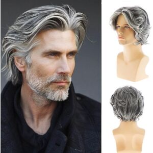 Dsimeig Mens Wig Short Grey Layered Synthetic Halloween Cosplay Costume Wig For Males Dsimeig Mens Wig Short Grey Layered Synthetic Halloween Cosplay Costume Wig For Males